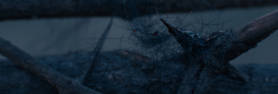 Jason R Moffat - Colour Grading Jason R Moffat - Colour Grading